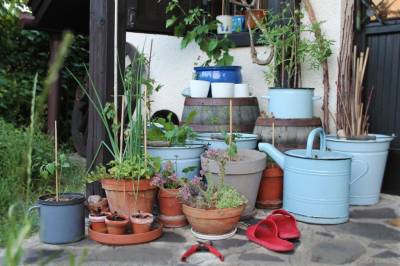 Chalúpka - záhrada, Chalúpka • The Cottage, Jedľové Kostoľany