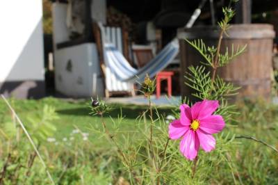Chalúpka - záhada, Chalúpka • The Cottage, Jedľové Kostoľany