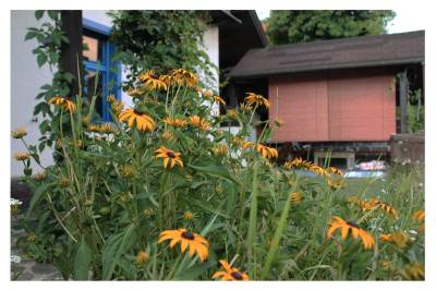 Záhrada, Chalúpka • The Cottage, Jedľové Kostoľany
