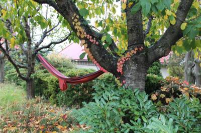 Záhrada, Chalúpka • The Cottage, Jedľové Kostoľany