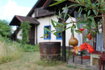 Chalúpka • The Cottage, Jedľové Kostoľany