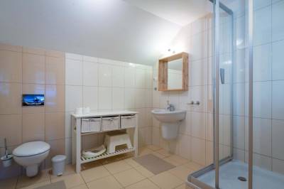 Kúpeľňa so sprchovacím kútom a WC, Apartmanica Tále 4C, Bystrá