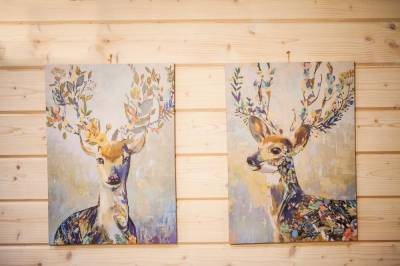 Interiér, Chata Glianka 3, Brezno