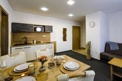 Apartmán - kuchyňa s jedálenským sedením, Villa Michaela, Bešeňová