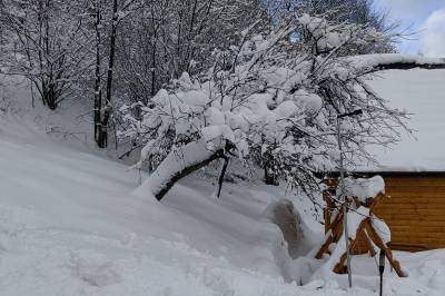 Chalet Martina, Oščadnica