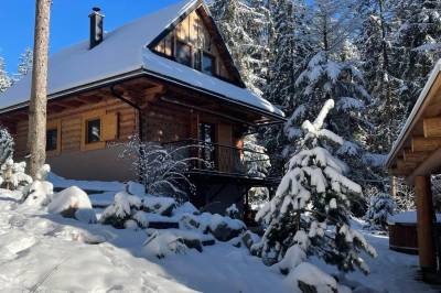 Exteriér ubytovania v obci Oravská Polhora, Drevenica Lesana, Oravská Polhora