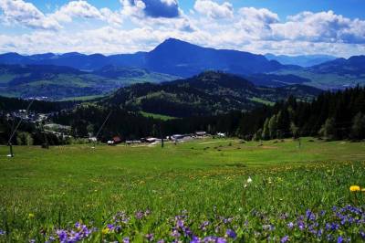 Príroda, Apartmány Kubínska hoľa, Dolný Kubín