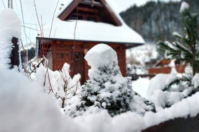 Chalúpka VEĎveďŠAKšak, Nižná Boca