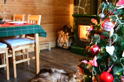 Chalúpka VEĎveďŠAKšak, Nižná Boca