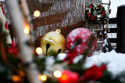 Chalúpka VEĎveďŠAKšak, Nižná Boca