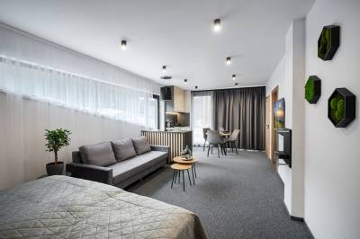 Apartmán Malinô Hrabovo - Manželská posteľ, rozkladacia pohovka a LCD TV, Malinô Apartments - Chalets in Ski &amp; Bike Park, Ružomberok