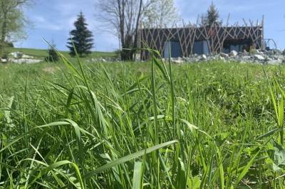 Exteriér ubytovania v Oravskej Lesnej, Orlie hniezdo s luxusným wellness, Oravská Lesná