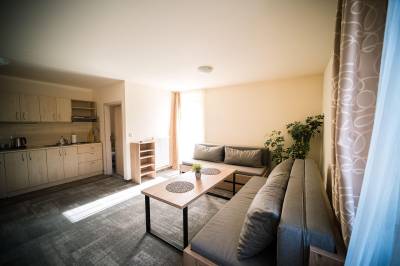 Mezonetový apartmán deLux č.32, Mezonetový apartmán deLux č.32, Wellness & Spa hotel Čertov, Lazy pod Makytou